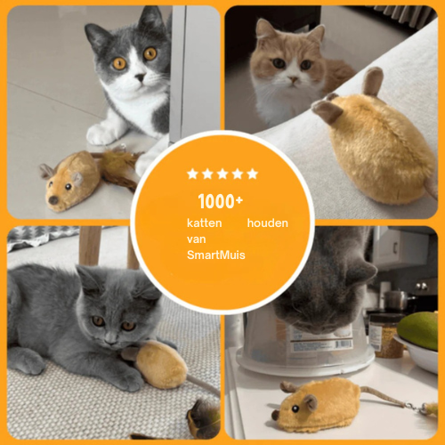 Smartmuis voor katten