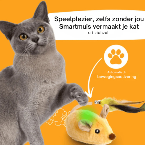 Smartmuis voor katten