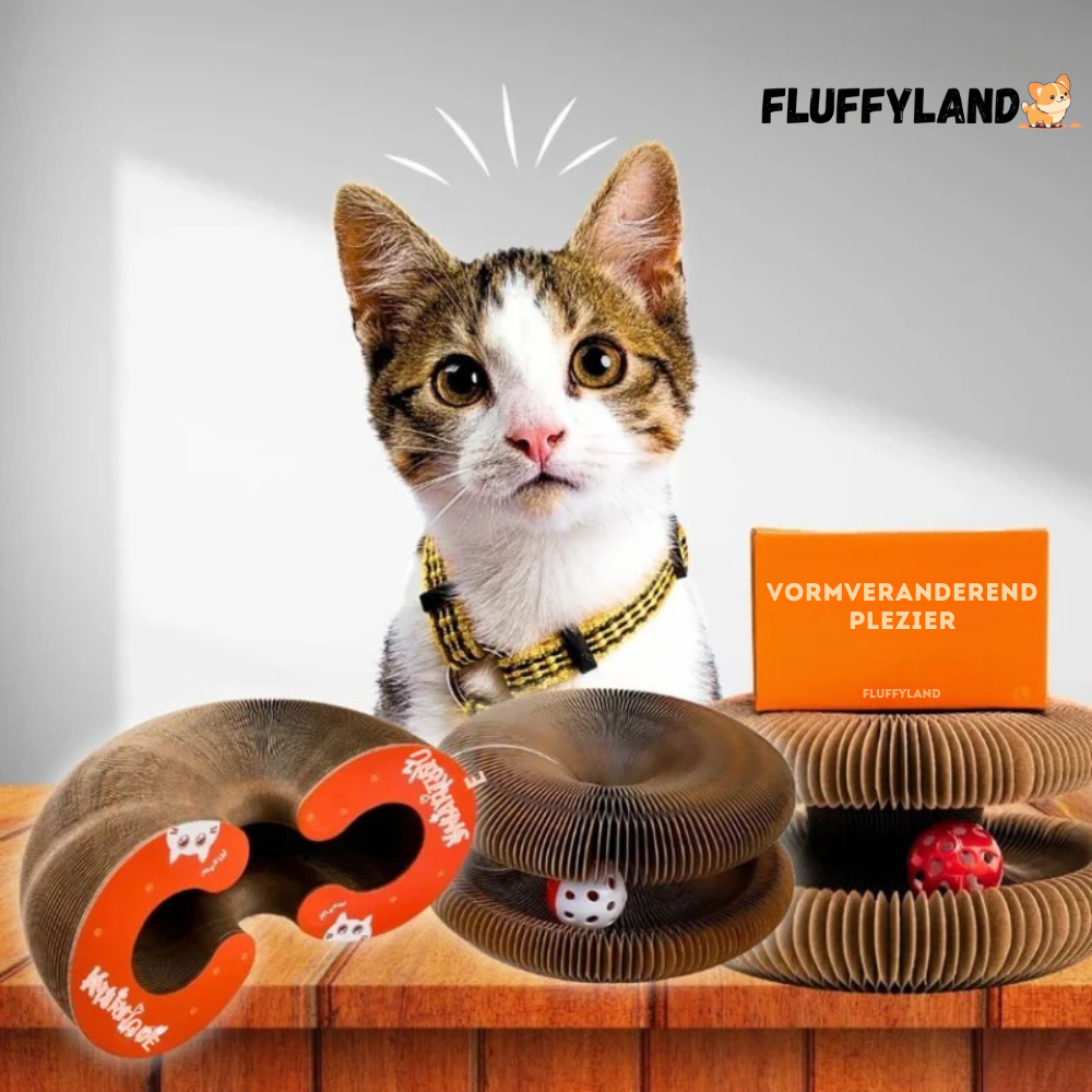 Kattenkrul™ - Het speeltje dat nooit verveelt!
