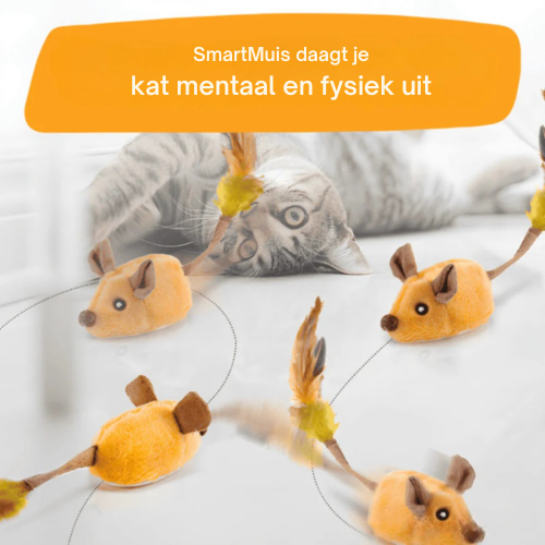 Smartmuis voor katten