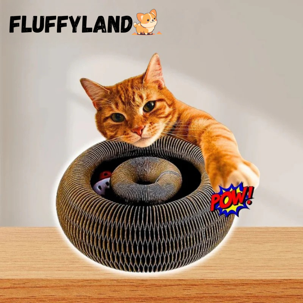 Kattenkrul™ - Het speeltje dat nooit verveelt!
